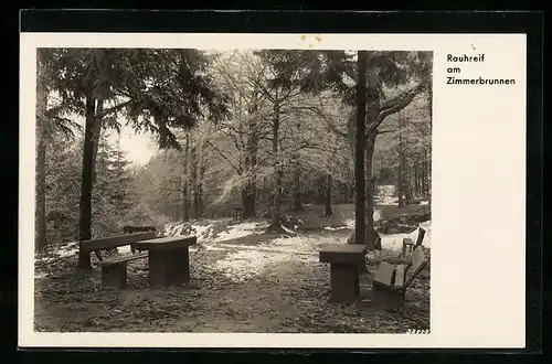 AK Landau /Pfalz, Rauhreif am Zimmerbrunnen