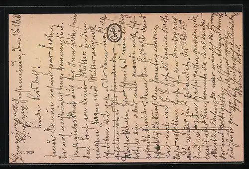 AK Brauner Jagdhund auf einer Wiese