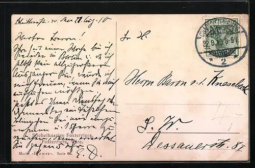 AK Zwei Kurzhaar-Terrier mit Halsband