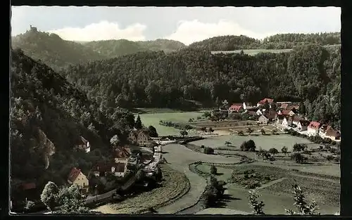 AK Behringersmühle /Fränk. Schweiz, Ortsansicht mit umliegendem Wald