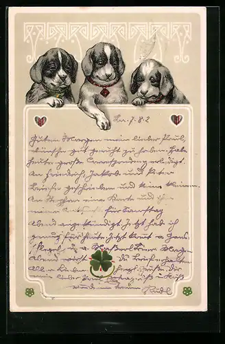 Lithographie Drei Jagdhund-Welpen mit Halsbändern