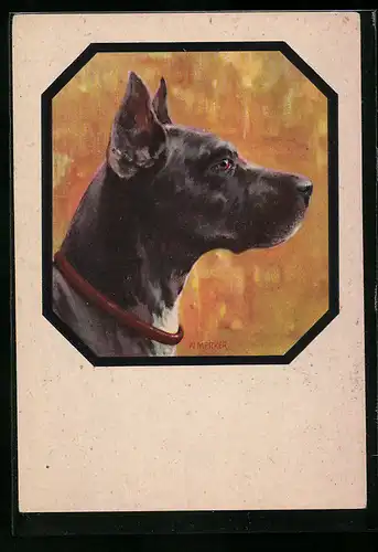 AK Dogge mit Ring um den Hals, Portrait