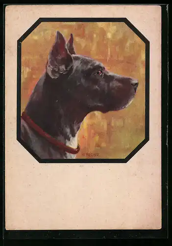AK Dogge mit Ring um den Hals, Seitenportrait