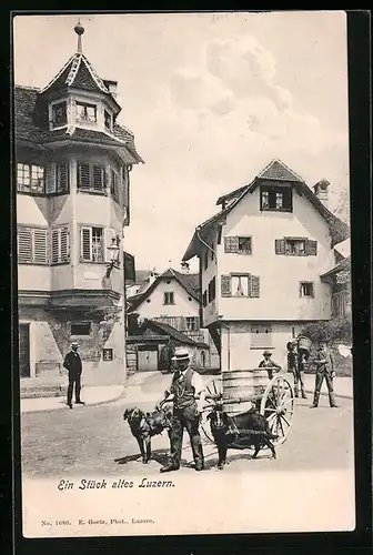 AK Luzern, Ein Stück altes Luzern, Hundekarren auf der Strasse