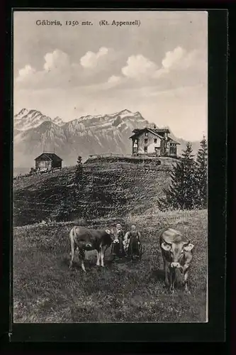 AK Gäbris, Gebäude und grasende Kühe