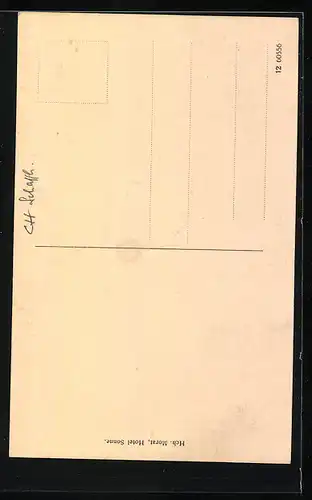AK Stein a. Rh., Hotel Sonne mit Pferdekutsche
