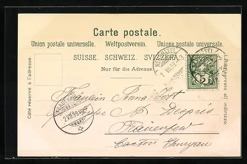 Lithographie Neuchâtel, Blick auf die Stadt, Weinranken und Weinglas