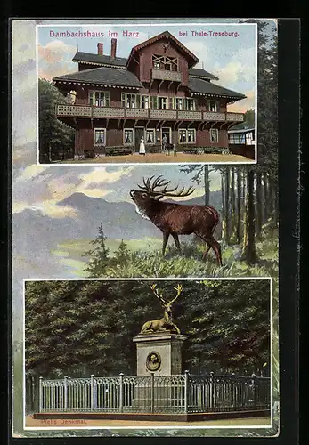 AK Thale-Treseburg /Harz, Gasthaus Dambachshaus, Pfeils Denkmal, Hirsch