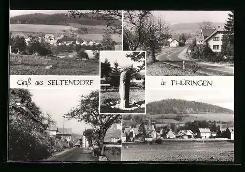 AK Seltendorf /Thür., Gesamtansicht, Strassenpartie
