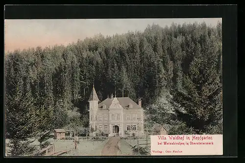 AK Hopfgarten, Villa Waldhof mit Waldgebiet