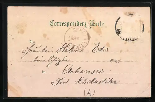 Lithographie Hall i. Tirol, Pfarrkirche, Rathaus, Münzerturm, Absam