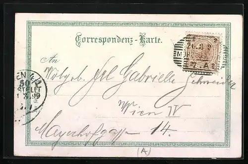 Lithographie Mürzzuschlag, Panoramablick auf den Ort, Auerhahn