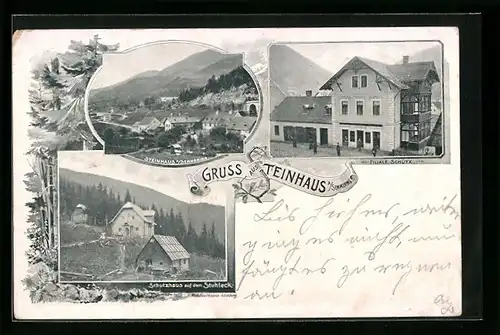 AK Steinhaus, Filiale Schütz, Schutzhaus auf dem Stuhleck, Ortspartie