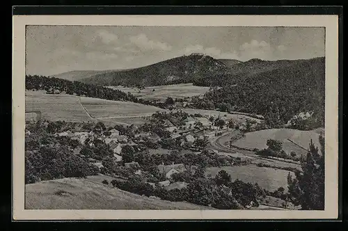 AK Wopfing i. Piestingtal, Ortsansicht mit Umland