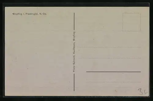 AK Wopfing i. Piestingtal, Ortsansicht mit Umland