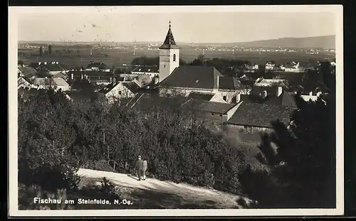 AK Fischau am Steinfelde, Ortsansicht mit Weitblick