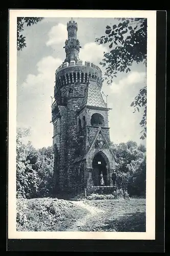 AK Hermannskogel, Habsburgwarte bei Schönwetter