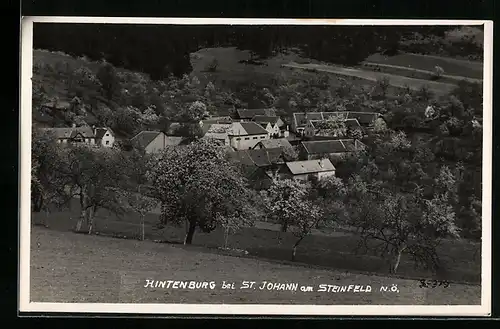 AK Hintenburg bei St. Johann am Steinfeld, Gesamtansicht zur Baumblüte