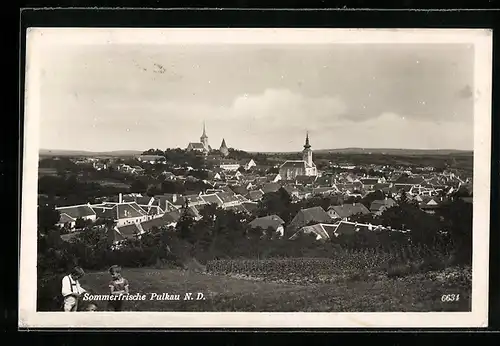 AK Pulkau, Totalansicht mit Kirchen