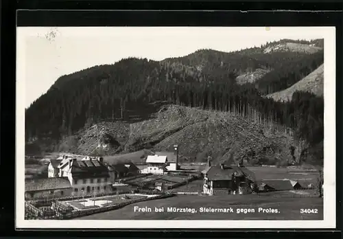 AK Frein bei Mürzsteg, Ortsansicht mit Waldblick