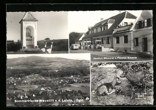 AK Neustift a. d. Lafnitz, Gasthof, Bäckerei u. Pension Schmidt, Ortsansicht