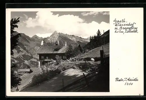 AK Mayrhofen i. Zillertal, Gasthof Wiesenhof mit Brandberg Kolm