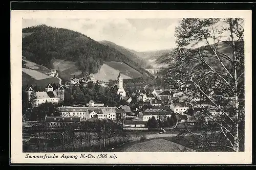 AK Aspang /N.-Oe., Ortsansicht ins Tal