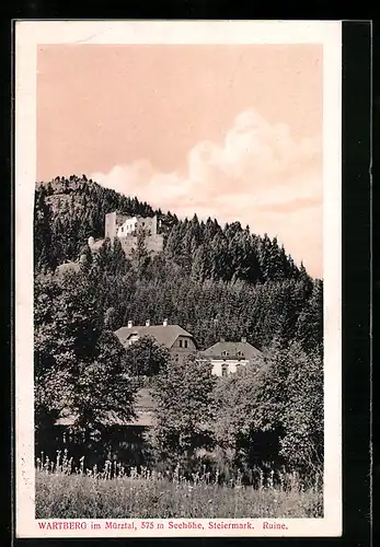 AK Wartberg /Mürztal, Ruine im Wald