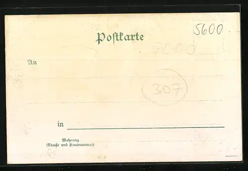 Lithographie Elberfeld, Darstellung der Stadthalle