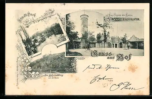 AK Hof, Labyrinthberg, Stadtpark, Inneres der Ruine