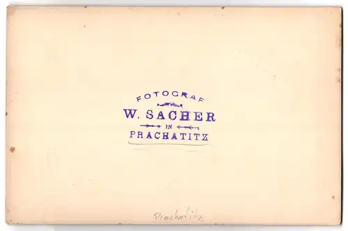 Fotografie W. Sacher, Prachatitz, Ansicht Prachatitz, Panorama mit der St. Jakobus Kirche