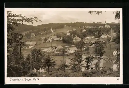 AK Spiegelau /Bay., Gesamtansicht aus der Vogelschau