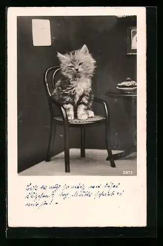 AK Süsse Katze auf kleinem Stuhl
