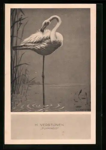 Künstler-AK Flamingo in Ruhestellung auf einem Bein