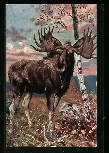 Künstler-AK Porträt von einem Elch