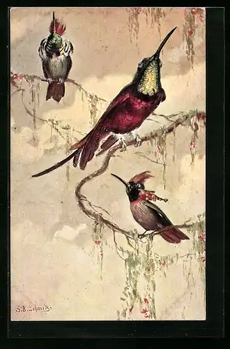 Künstler-AK Drei Vögel mit prächtig schillerndem Gefieder