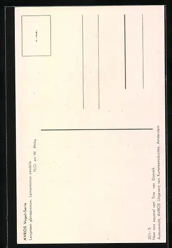 Künstler-AK Langstaart glansspreeuw, Lamprotorius candalis, N. O. en W. Afrika