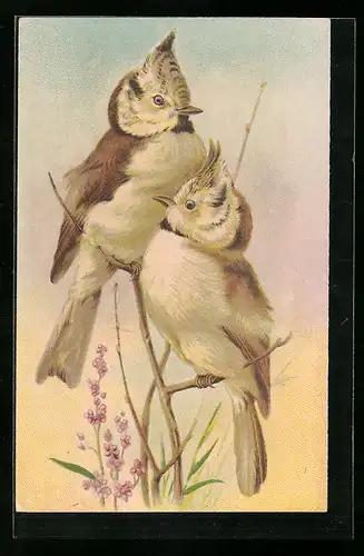 AK Bildnis von zwei Vögeln auf einem Zweig