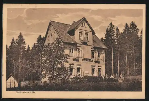 AK Bockswiese im Hz., Hotel Haus Waldfrieden R. Knieriem, mit Menschen in den Fenstern