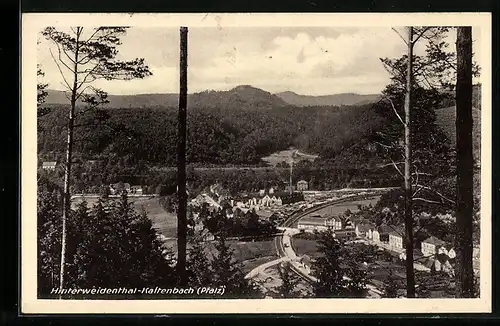 AK Hinterweidenthal-Kaltenbach / Pfalz, Blick von einer Anhöhe auf den Ort