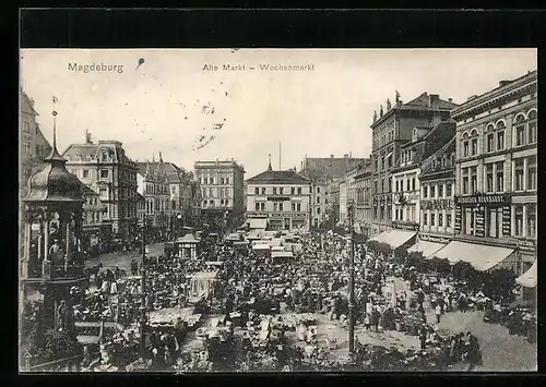 AK Magdeburg, Wochenmarkt auf dem Alten Markt