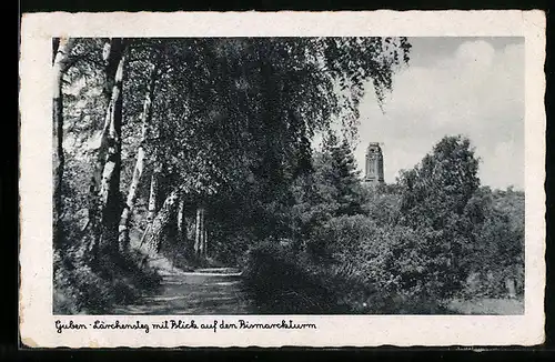 AK Guben, Lärchensteg mit Bismarckturm