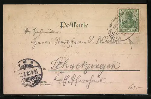 AK Mainz, Totalansicht der Stadt mit Dampfer