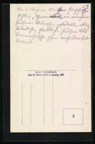 AK Mauthen, Gesamtansicht mit Polinik