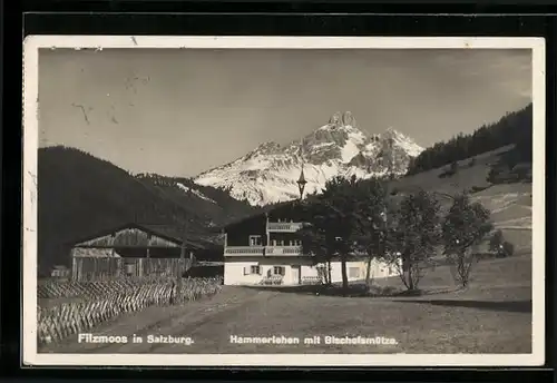 AK Filzmoos in Salzburg, Hammerlehen mit Bischofsmütze