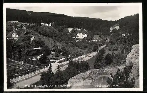 AK Bad Fischau-Brunn, Rosenthal mit Strassenpartie