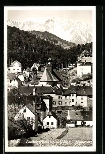 AK Grünbach am Schneeberg, Ortsansicht mit Alpenblick