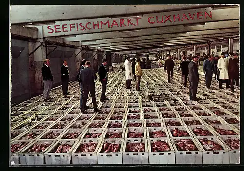 AK Cuxhaven, Seefischmarkt mit Verkäufern auf den Kisten