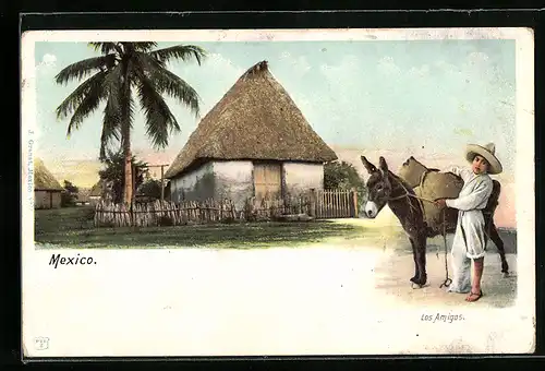 Lithographie Mexico, Los Amigos, Esel und Hütte