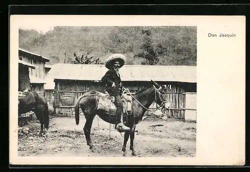 AK Südamerika, Don Joaquin auf seinem Esel